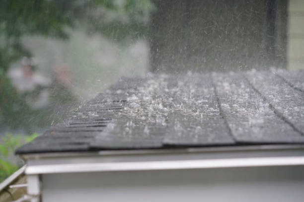 Best Asphalt Shingle Roofing  in Lomita, CA